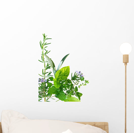 Border of fresh-picked herbs 