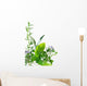 Border of fresh-picked herbs 
