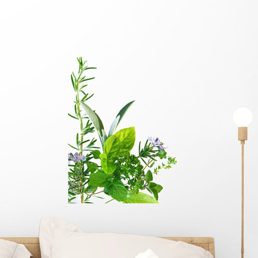 Border of fresh-picked herbs 