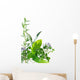 Border of fresh-picked herbs 