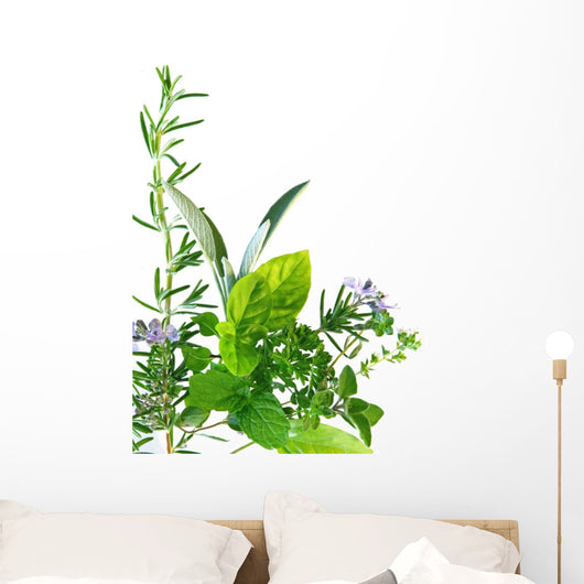 Border of fresh-picked herbs 