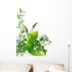Border of fresh-picked herbs 