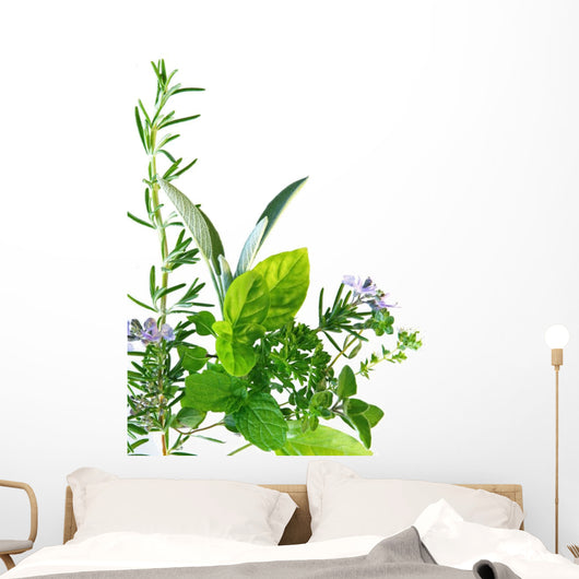 Border of fresh-picked herbs 