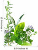Border of fresh-picked herbs 