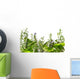 Border of fresh herbs 