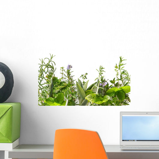 Border of fresh herbs 