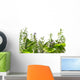 Border of fresh herbs 