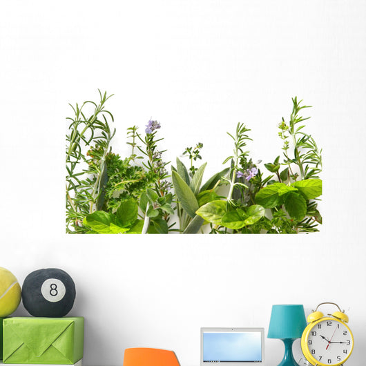 Border of fresh herbs 