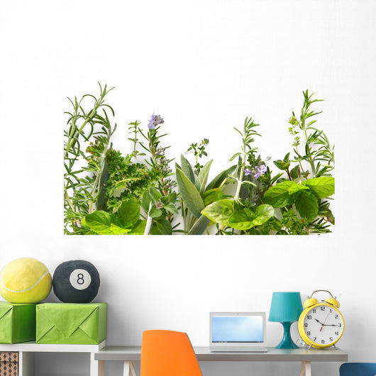 Border of fresh herbs 