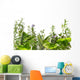 Border of fresh herbs 