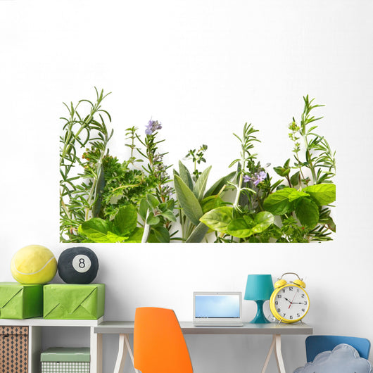 Border of fresh herbs 
