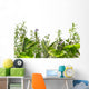 Border of fresh herbs 