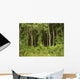 Forest Wall Decal Design 2