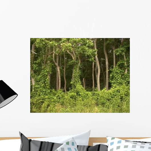Forest Wall Decal Design 2