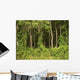 Forest Wall Decal Design 2