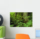 Large Tree Trunks And Forest Floor Wall Mural