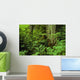 Large Tree Trunks And Forest Floor Wall Mural