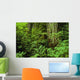 Large Tree Trunks And Forest Floor Wall Mural