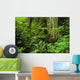 Large Tree Trunks And Forest Floor Wall Mural