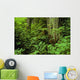 Large Tree Trunks And Forest Floor Wall Mural