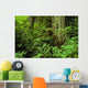 Large Tree Trunks And Forest Floor Wall Mural