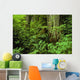 Large Tree Trunks And Forest Floor Wall Mural