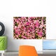 Abstract background of roses. Wall Mural