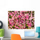 Abstract background of roses. Wall Mural