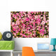 Abstract background of roses. Wall Mural