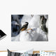 Black-Capped Chickadee Wall Mural
