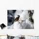 Black-Capped Chickadee Wall Mural