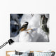Black-Capped Chickadee Wall Mural