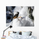 Black-Capped Chickadee Wall Mural