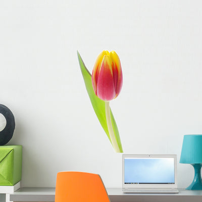 Tulip Wall Decal shown on a wall