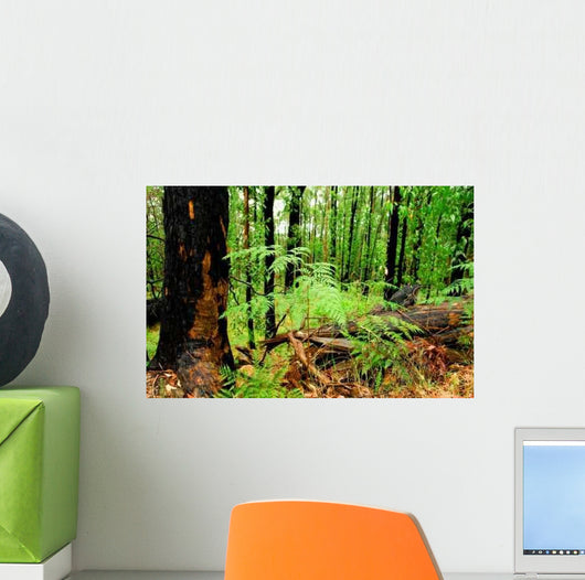 Beautiful Green Forest Wall Decal