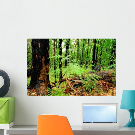 Beautiful Green Forest Wall Decal