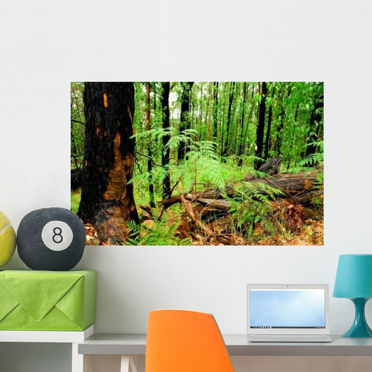 Beautiful Green Forest Wall Decal