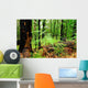 Beautiful Green Forest Wall Decal