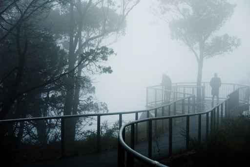 Severe Fog Mountain Lookout Wall Decal