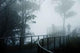Severe Fog Mountain Lookout Wall Decal