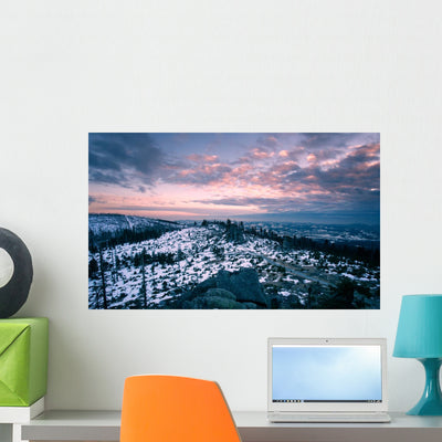Winter Landscape Bavaria Germany Wall Mural shown on a wall