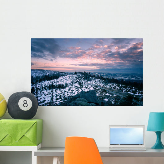 Winter landscape in bavaria, germany Wall Mural