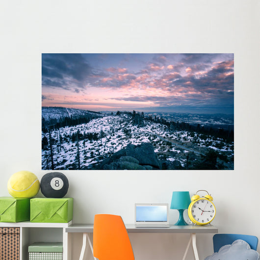 Winter landscape in bavaria, germany Wall Mural