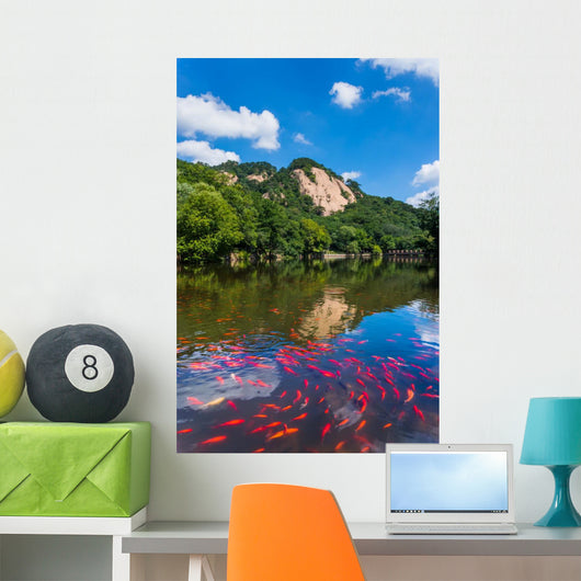 Mountain ponds 