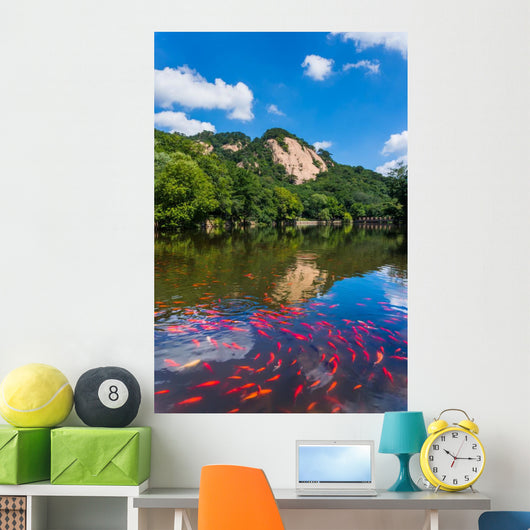 Mountain ponds 