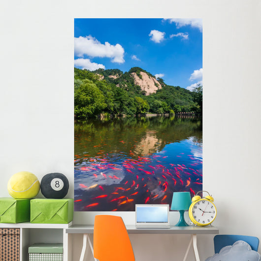 Mountain ponds 