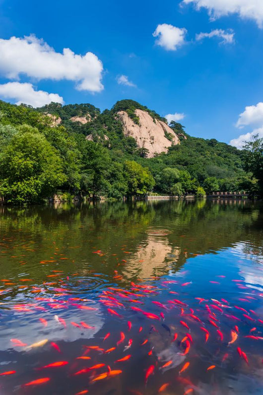 Mountain ponds 