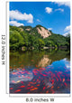 Mountain ponds 