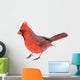 Cardinal Isolated 
