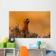 Red Grouse 